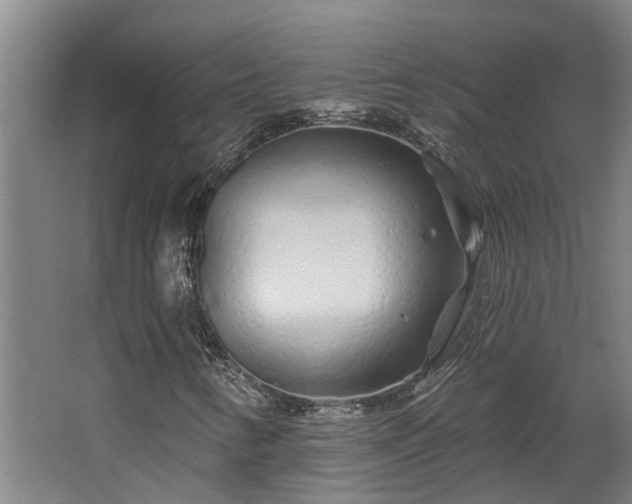 X0000068271346200604281541