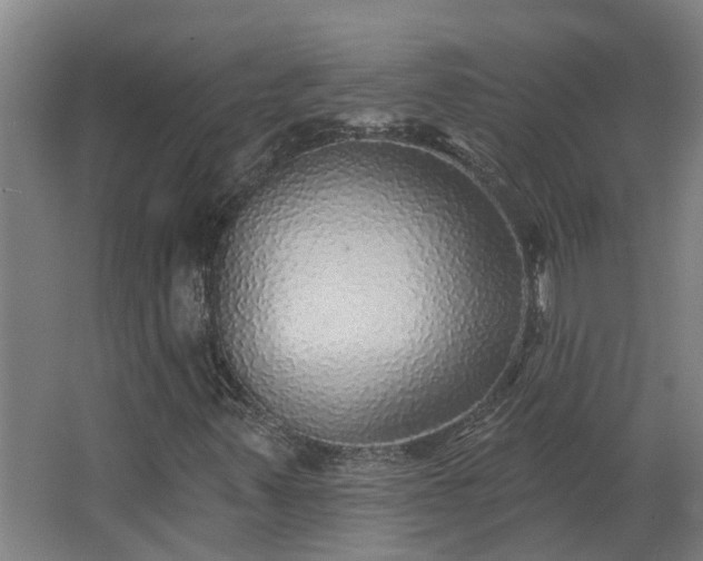 X0000068271347200604281541