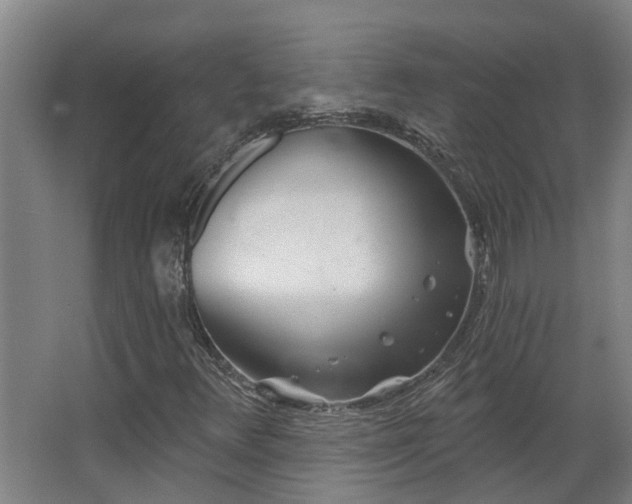 X0000068271348200604281541