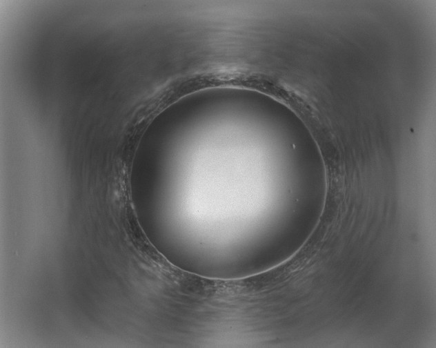 X0000068271349200604281541