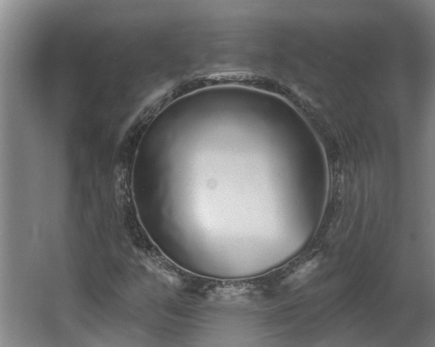 X0000068271351200604281541