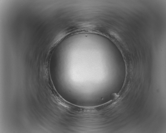 X0000068271354200604281541