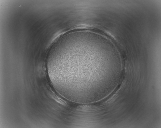 X0000068271355200604281541