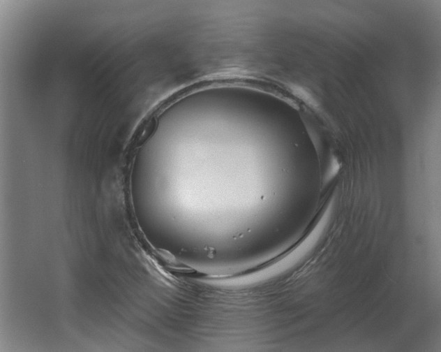 X0000068271356200604281541