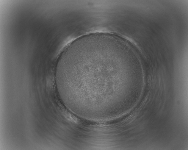 X0000068271359200604281541