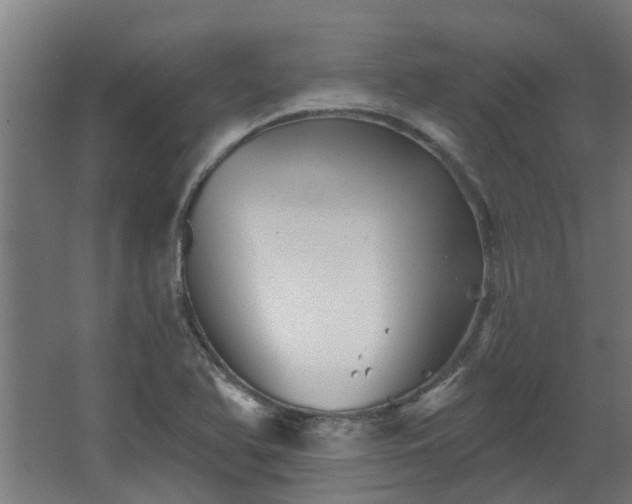 X0000068271366200604281540