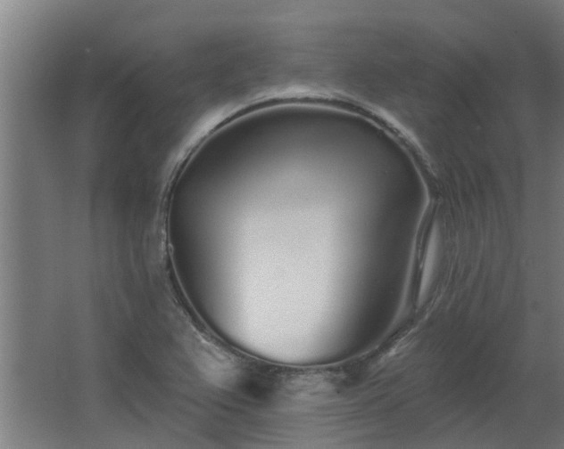 X0000068271367200604281540