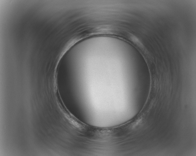 X0000068271370200604281540