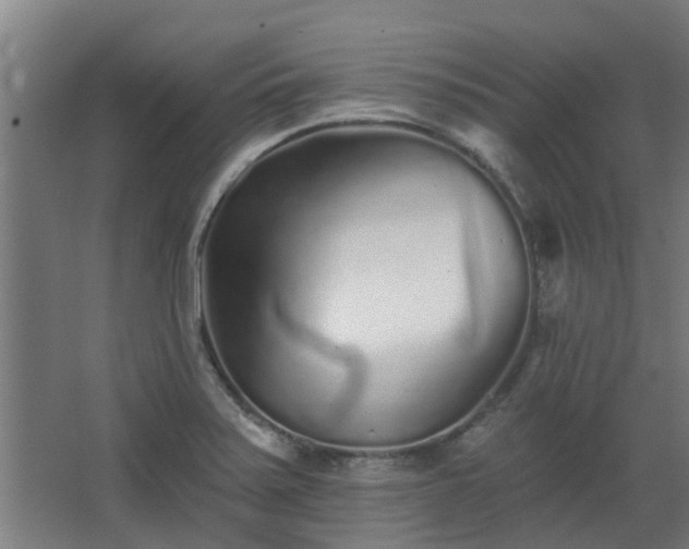 X0000068271371200604281540