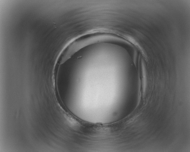 X0000068271372200604281540