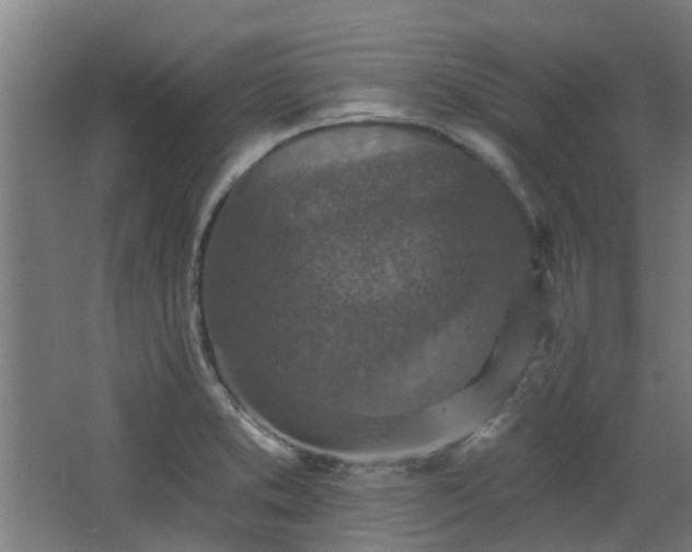 X0000068271373200604281540