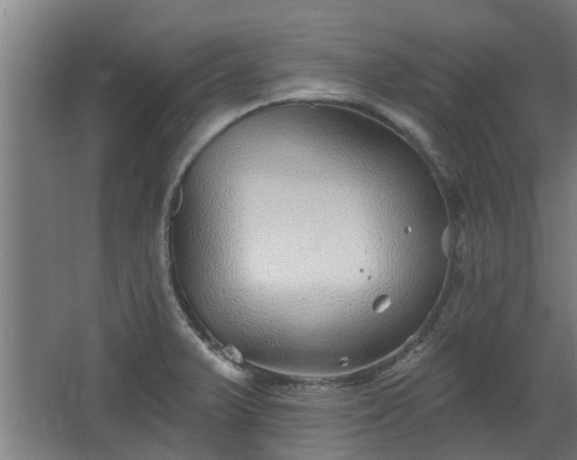 X0000068271375200604281540