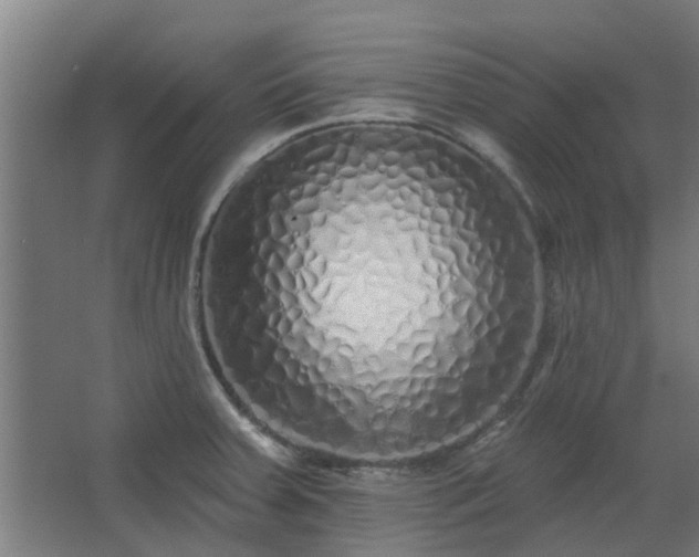 X0000068271379200604281540