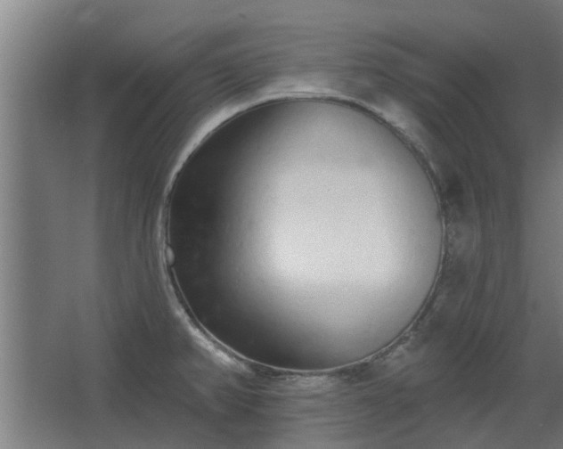 X0000068271382200604281540