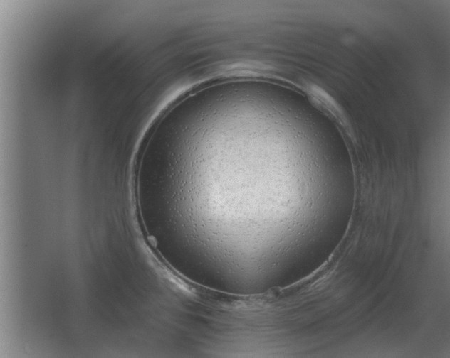 X0000068271384200604281540