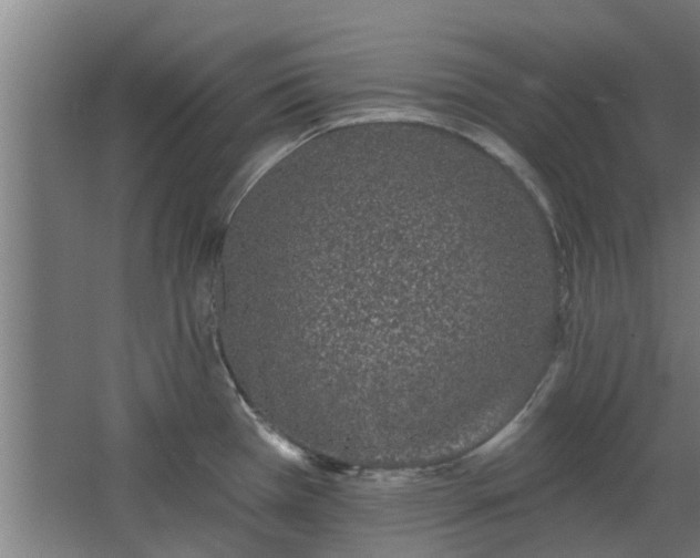 X0000068271385200604281540