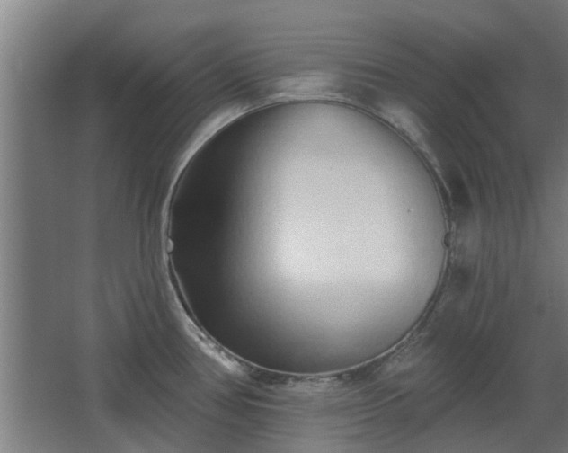 X0000068271386200604281540