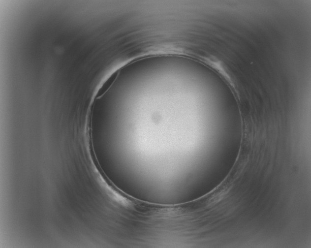 X0000068271387200604281540