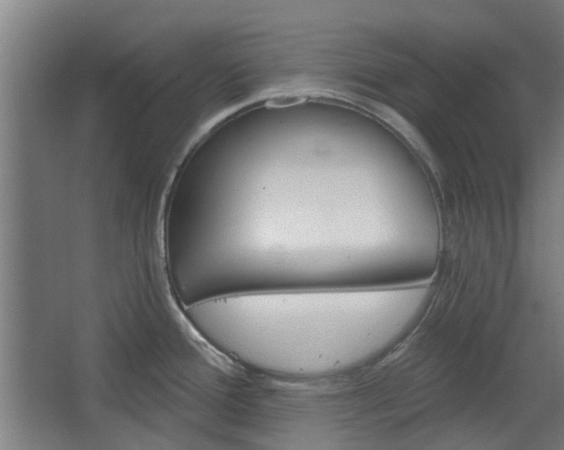 X0000068271388200604281540