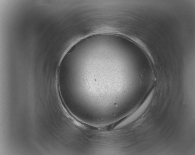 X0000068271390200604281540