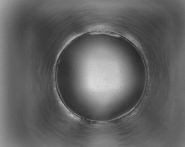 X0000068271392200604281540