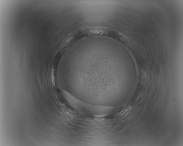 X0000068271394200604281539