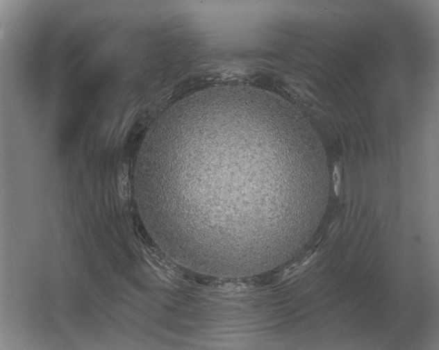 X0000068271395200604281539