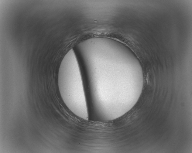 X0000068271396200604281539