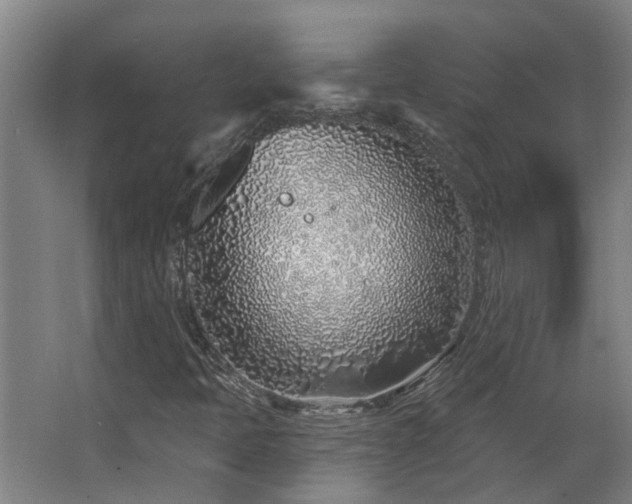 X0000068271397200604281539