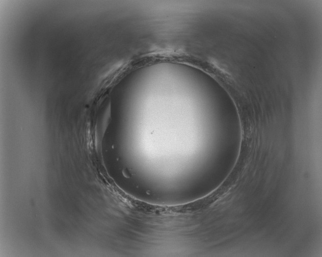 X0000068271398200604281539