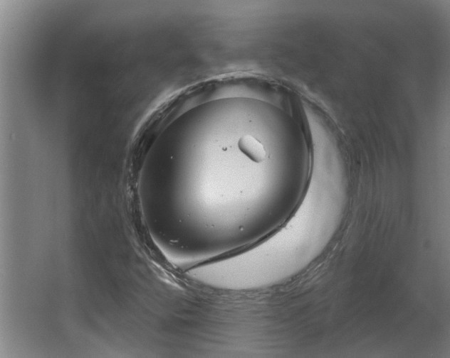 X0000068271400200604281539