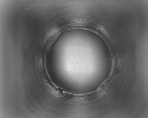 X0000068271402200604281539