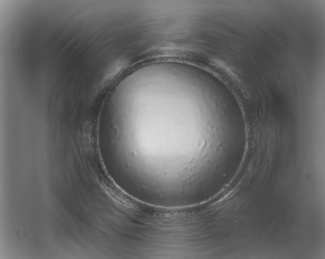 X0000068271403200604281539