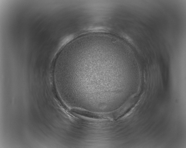 X0000068271405200604281539