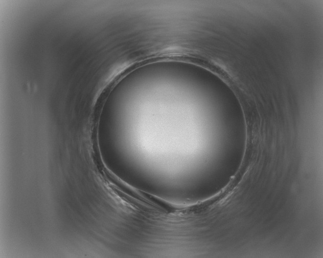 X0000068271410200604281539