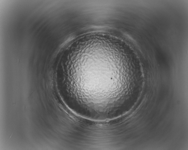 X0000068271411200604281540