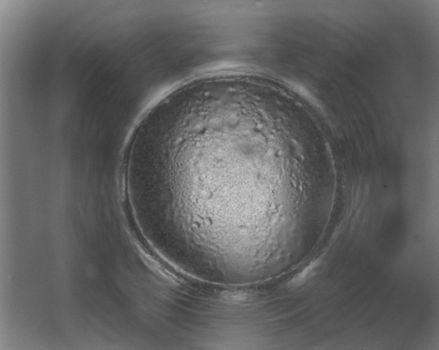 X0000068271413200604281540