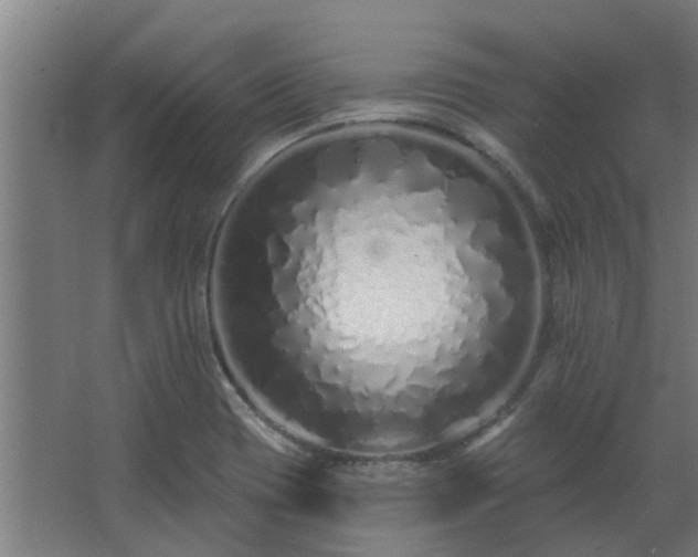 X0000068271417200604281540