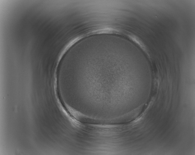 X0000068271418200604281540