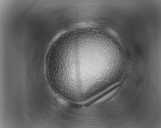 X0000068271419200604281540