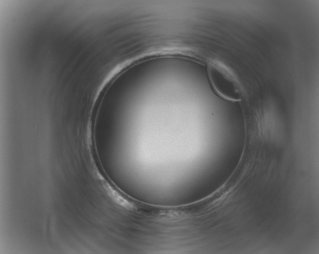 X0000068271420200604281540