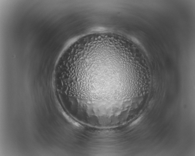 X0000068271421200604281540