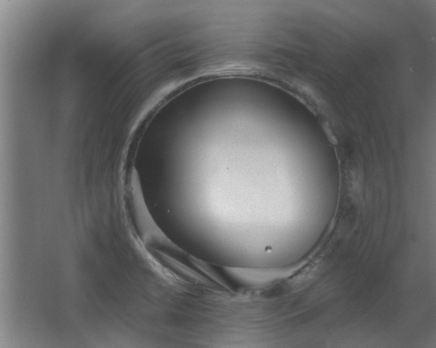 X0000068271422200604281540