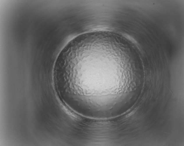 X0000068271423200604281540