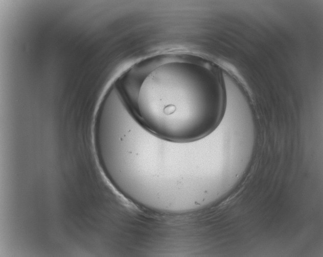 X0000068271424200604281540