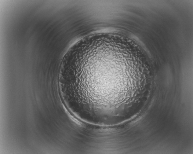 X0000068271425200604281540