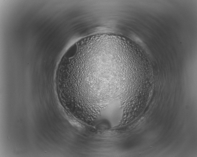 X0000068271427200604281540