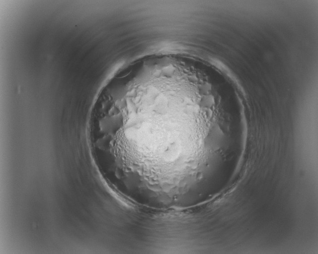 X0000068271429200604281540