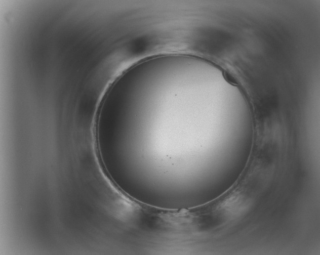 X0000068271432200604281540