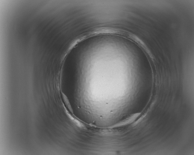 X0000068271433200604281540